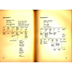 Chronik der Familie Rufener 1500-1900