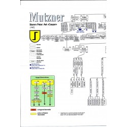 "Mutzner", Chronik eines Walser Geschlechts