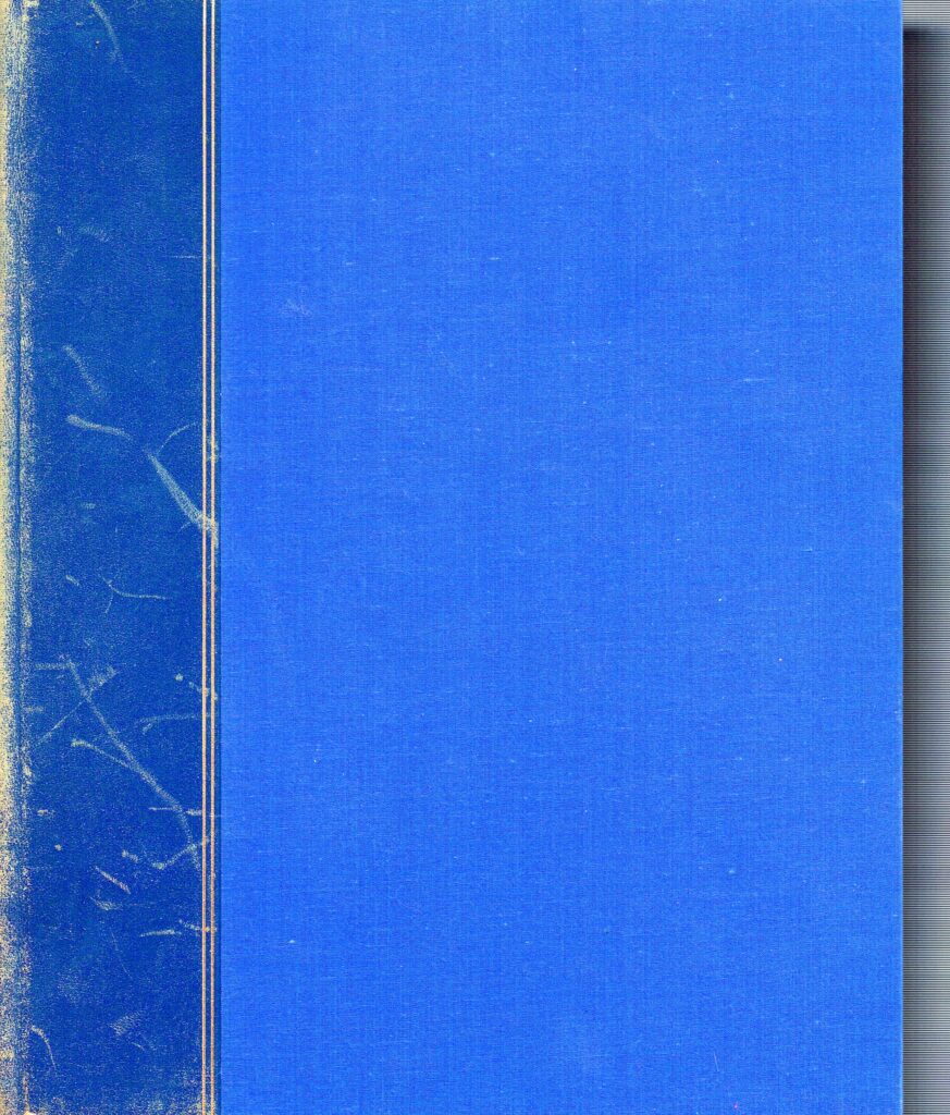 Nachfahrentafeln Rübel, Band Zürich-Bern, von Eduard Rübel und Wilhelm Heinrich Ruoff