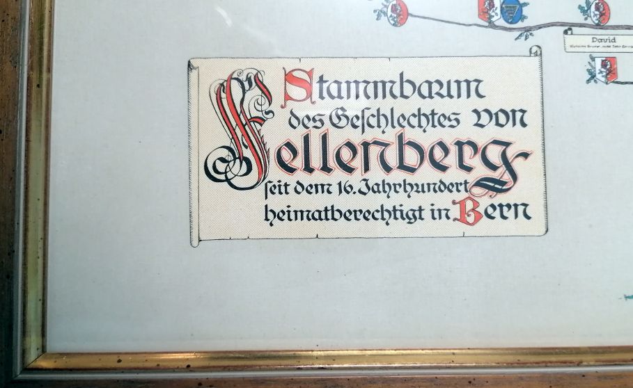Stammbaumdruck der "von Fellenberg", Bürger von Bern – Bild 3